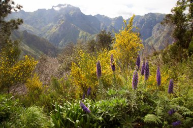 Dağların güzel manzarası