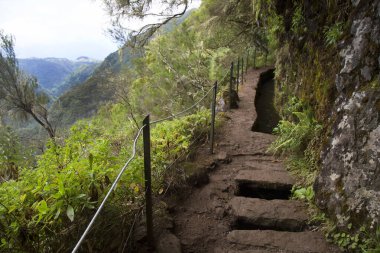 Ormandaki güzel yol manzarası