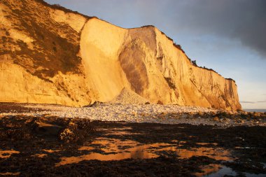 Deniz kıyısının güzel manzarası