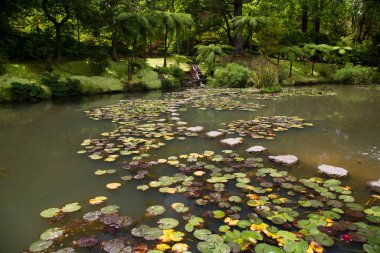Parkın güzel manzarası