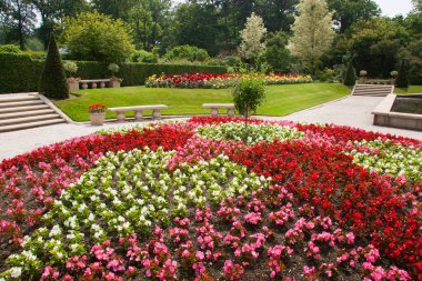Yeşillik ve çiçek açan güzel botanik bahçesi