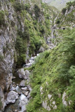 Dağların güzel manzarası