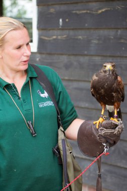 Kartal kuşu tutan kadın.