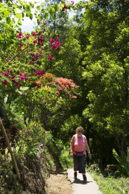 Yeşil ormandaki genç bir kadın. 