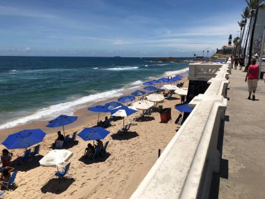 Halkın plaj sahnesinde insanlar gün ışığında