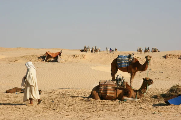 Vista Pessoas Montando Camelos Deserto — Fotografia de Stock