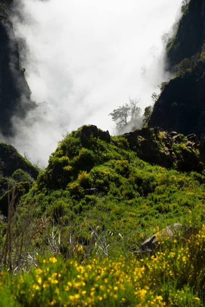 Beautiful Landscape Mountains — Stock Photo, Image