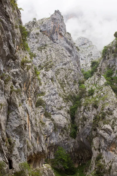 Красивый Горный Пейзаж Скалами Горами — стоковое фото