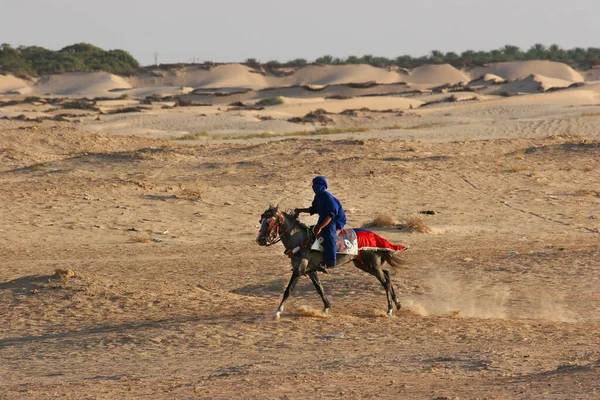 Hommes Avec Des Chevaux Arabes Dans Désert — Photo