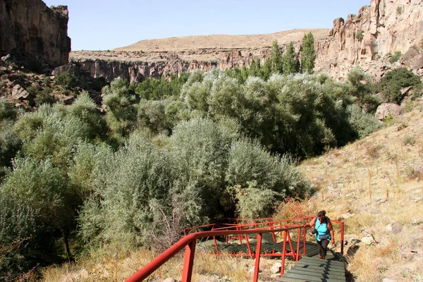 Travel Concept Tourists Discover Nature — Stock Fotó