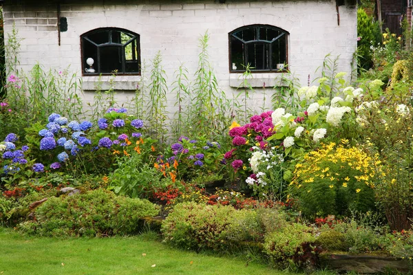 古い家に花や植物があって — ストック写真