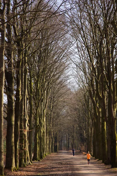 Herfstpark Stad — Stockfoto