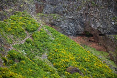 Dağların güzel manzarası
