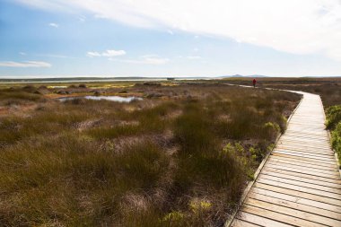 Batı Kıyısı Ulusal Parkı 'nın sulak ve çamurlu düzlüklerinde vahşi hayvanları izlemek için kuş postuna giden sahil yolu.