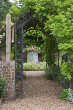Güzel botanik fotoğrafı, doğal duvar kağıdı.
