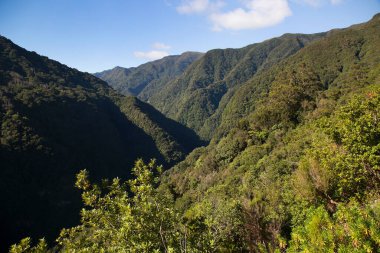 Dağların güzel manzarası