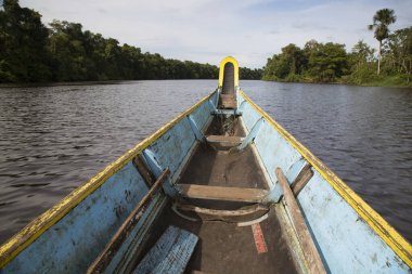 Nehir manzarası bottan yeşillikle çevrili.