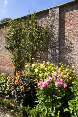 Güzel botanik manzarası