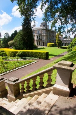 Yeşilli yeşil park manzarası, güneş ışığında güzel bir mimari.