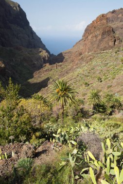 Bulutlu gökyüzü ile yeşil dağ manzarası