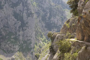 Dağların güzel manzarası