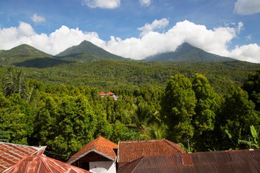 Yoğun yeşil yağmur ormanı manzarası ve arka planda kalderanın tepesi bir volkan.