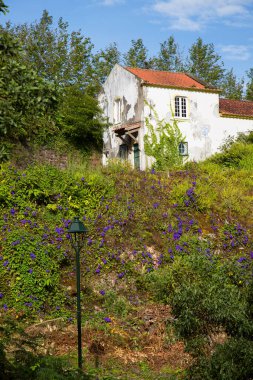 Köydeki eski ev ve tepedeki mavi çiçekler. 