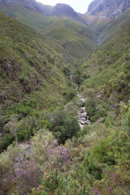 Dağları ve nehri olan güzel bir manzara.