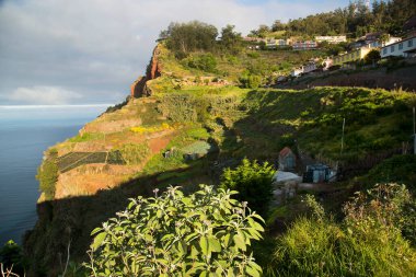 Doğanın güzel manzarası