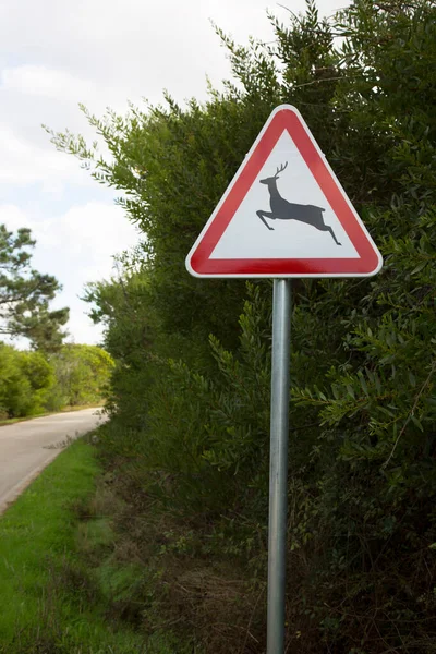 Road Sign Deer Warning Symbol — 图库照片