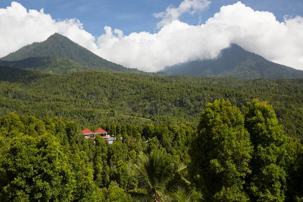 Dichte Groene Regenwoud Landschap Achtergrond Caldera Velg Met Top Een — Stockfoto