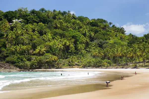 Belle Plage Tropicale Avec Palmiers Ciel Bleu — Photo