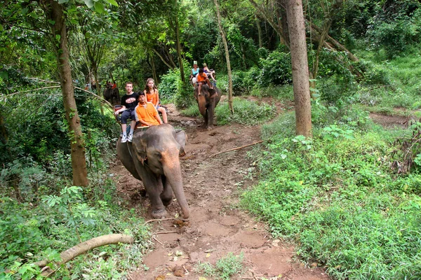 Традиционный Тайский Тур Слонах — стоковое фото