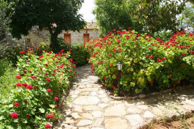 Kırmızı sardunyalar ve geleneksel taş evlerle dolu şehir bahçesi yolu.