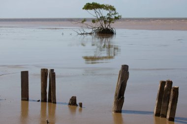 Sahilde balıkçı tekneleri