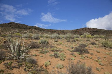 Dağların güzel manzarası