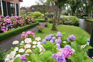 Hollanda 'daki Giethoorn köyünün sakin manzarası