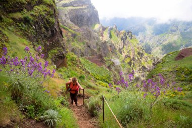 Dağ sırtının tepesinde, panoramik bir bakış açısı ve muhteşem volkanik dağ tepelerinin her iki tarafında da uçurumlar olan yürüyüş izleri.