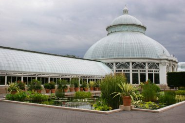 Göleti olan güzel bir sera.