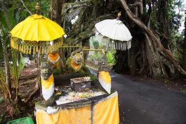 Sahile giden yoldaki markette.