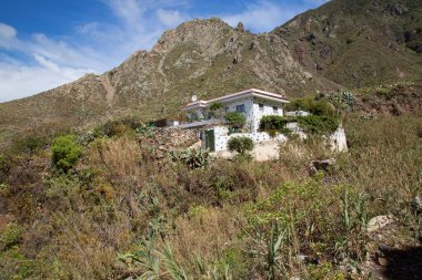 Yeşillikli kıyı kenti mimarisi manzarası