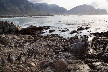 Dağlardaki güzel deniz manzarası