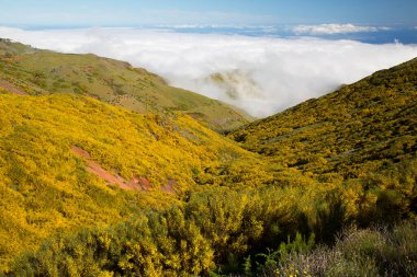 Dağların güzel manzarası