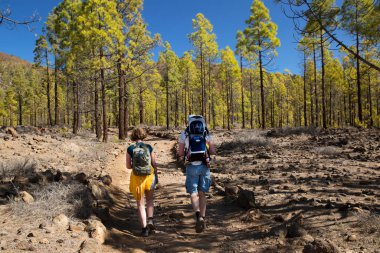 Dağlarda sırt çantalı tanınmayan turistler. Dağlarda sonbahar konsepti.