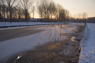 Kış mevsiminde bir park manzarası