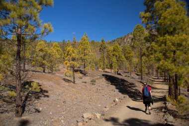 Dağlarda sırt çantalı tanınmayan turistler. Dağlarda sonbahar konsepti.