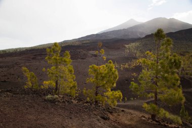 Dağlı güzel doğal manzara