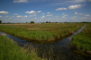Nehir ve yeşil çimenli kırsal alan