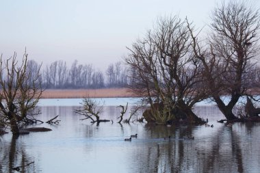 Sabah göl manzarası çok güzel.
