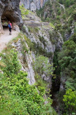 Dağlarda yürüyüşçüler, Kuzey İspanya.